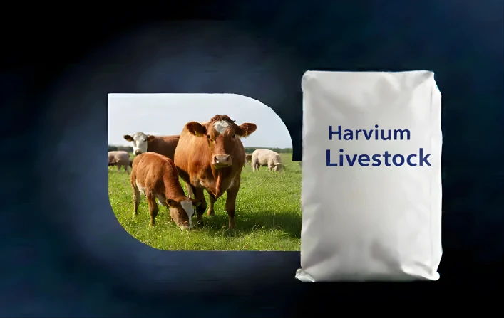 Bacon without/bone - Livestock